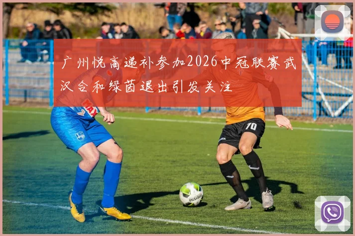 广州悦高递补参加2026中冠联赛武汉合和绿茵退出引发关注